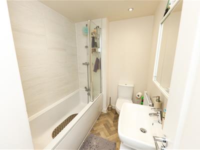 Picture 17